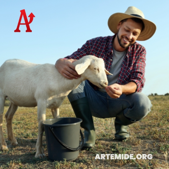 Artemide - Sostegno per agricoltori e pmi pugliesi